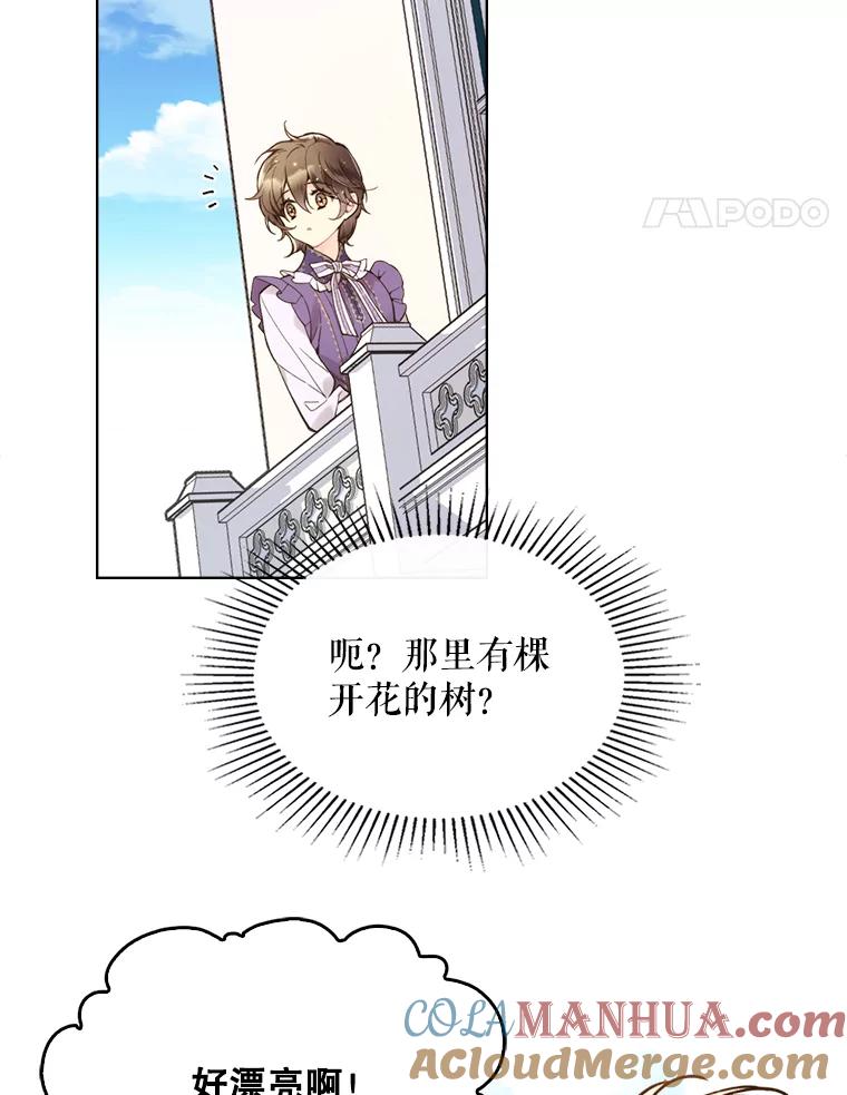 《比阿特丽丝》45.访问领地（3） 第93页