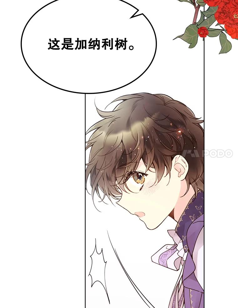 《比阿特丽丝》45.访问领地（3） 第96页
