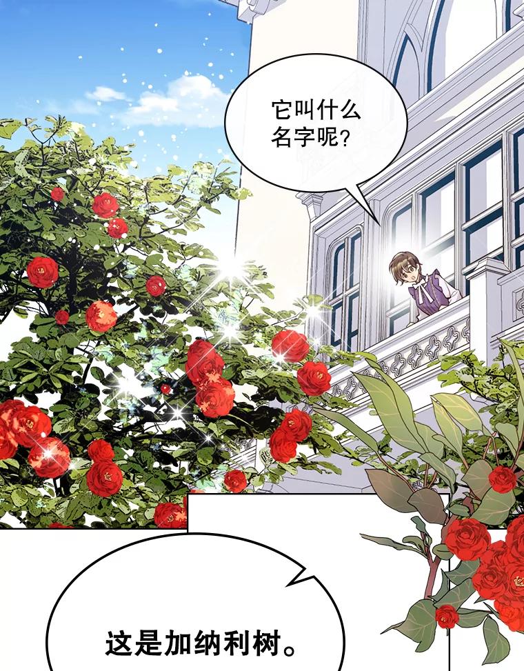 《比阿特丽丝》46.访问领地（4） 第3页