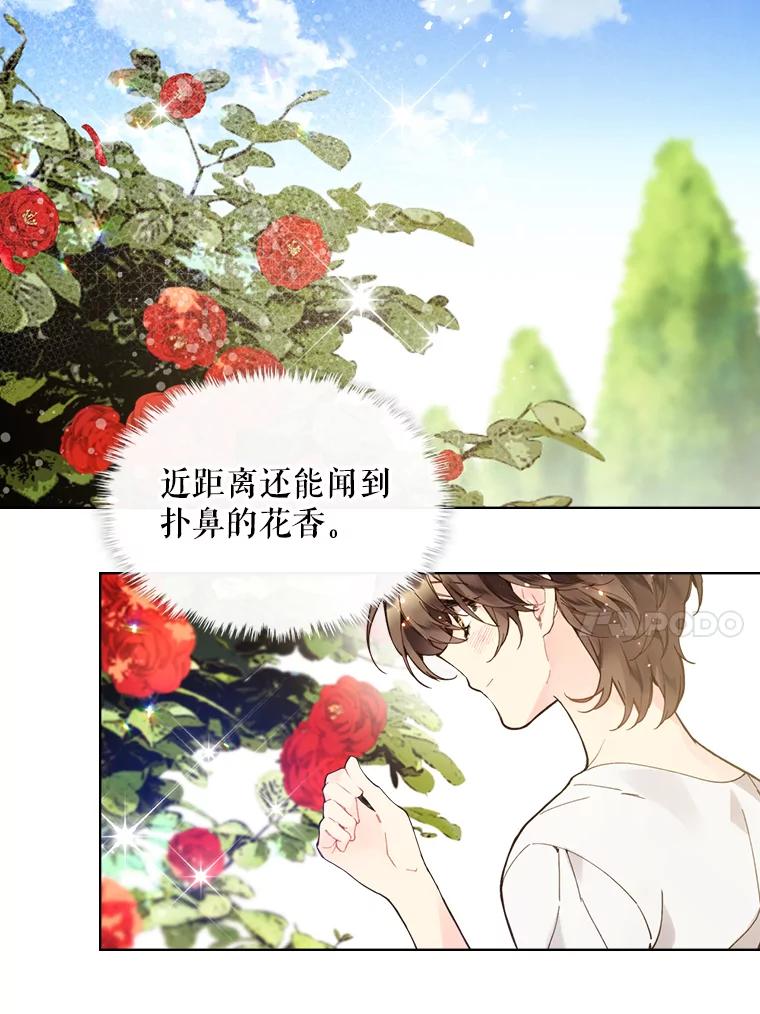 《比阿特丽丝》46.访问领地（4） 第34页