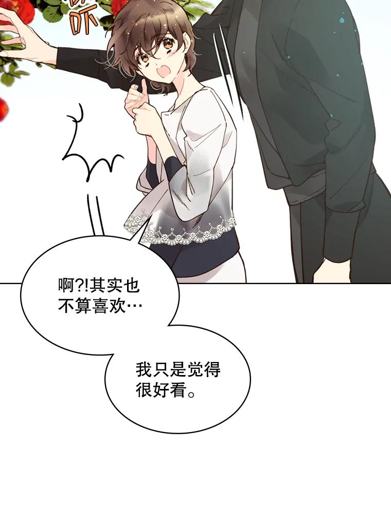 《比阿特丽丝》46.访问领地（4） 第36页