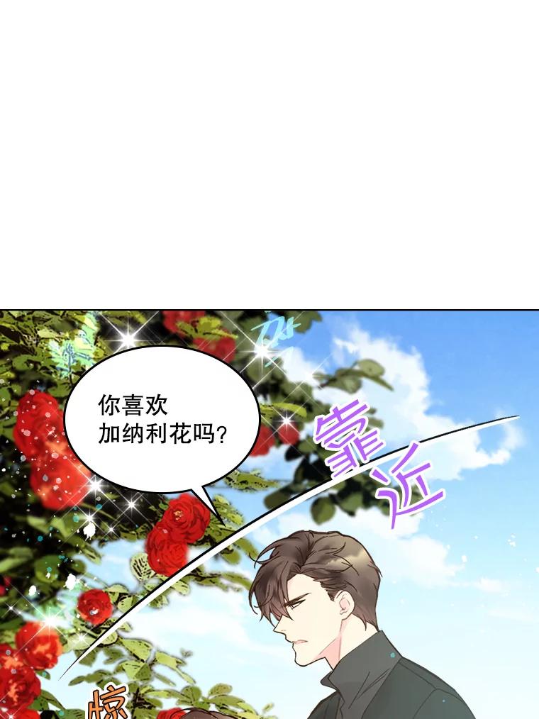 《比阿特丽丝》46.访问领地（4） 第35页