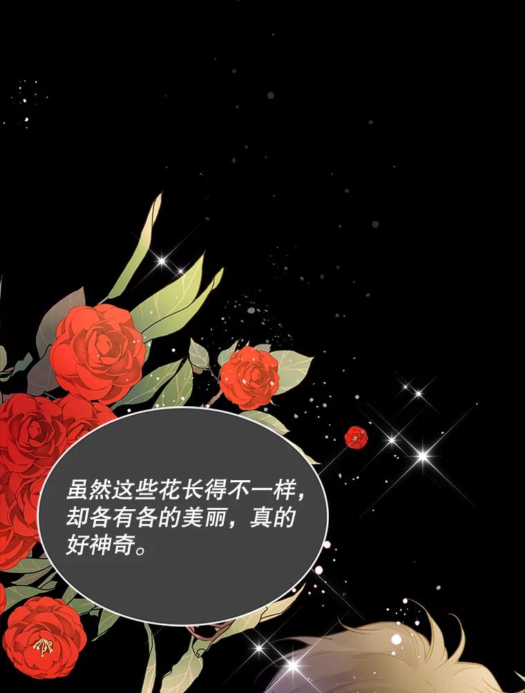 《比阿特丽丝》47.满月 第111页