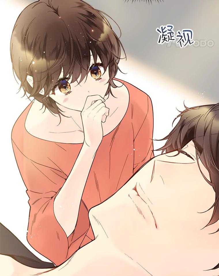 《比阿特丽丝》49.失眠 第71页