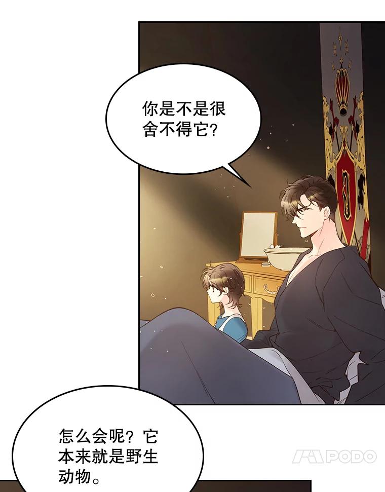 《比阿特丽丝》50.小狐狸 第45页