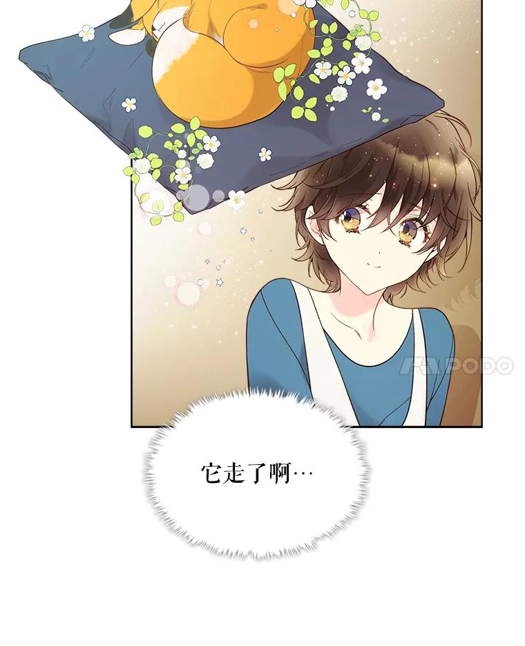 《比阿特丽丝》50.小狐狸 第42页