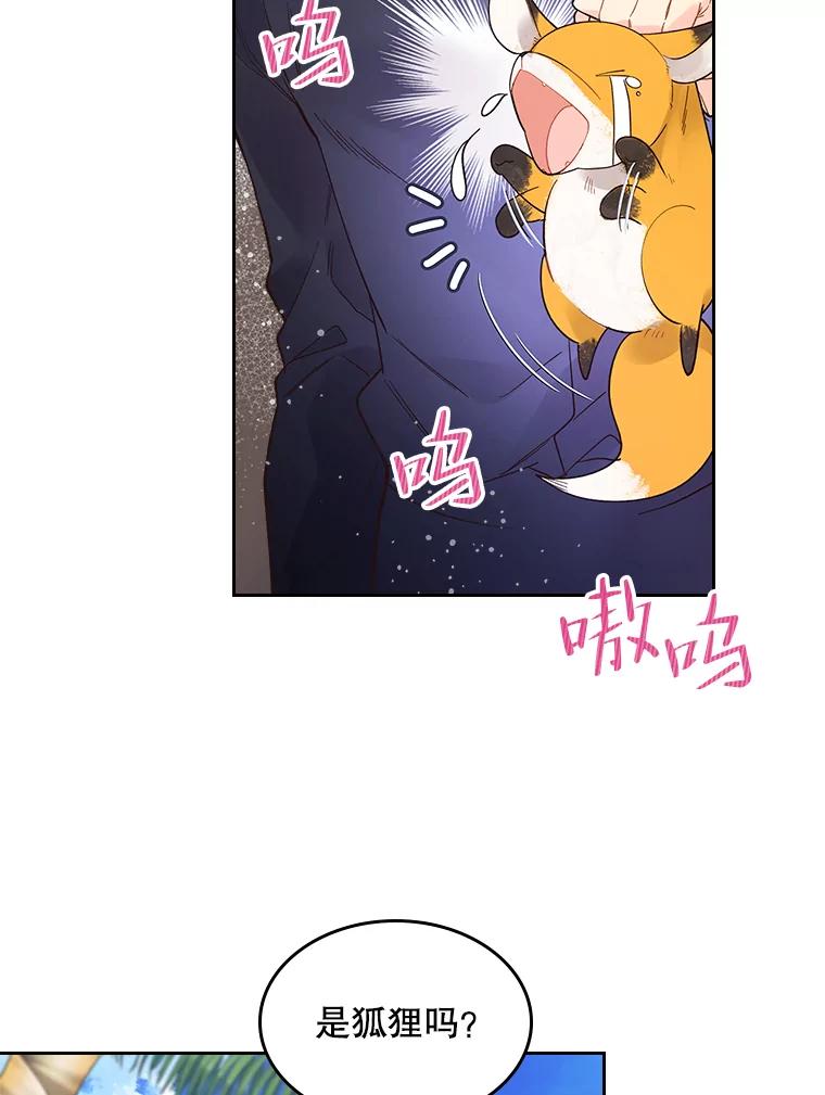《比阿特丽丝》50.小狐狸 第14页