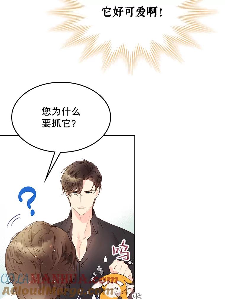 《比阿特丽丝》50.小狐狸 第16页