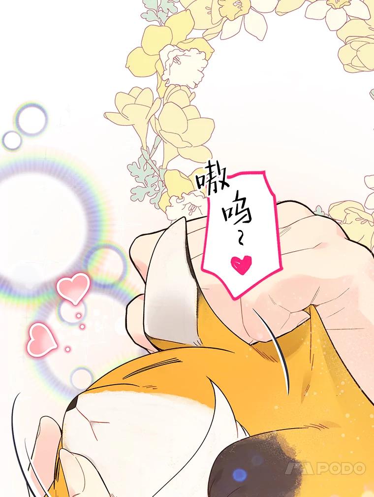 《比阿特丽丝》50.小狐狸 第21页