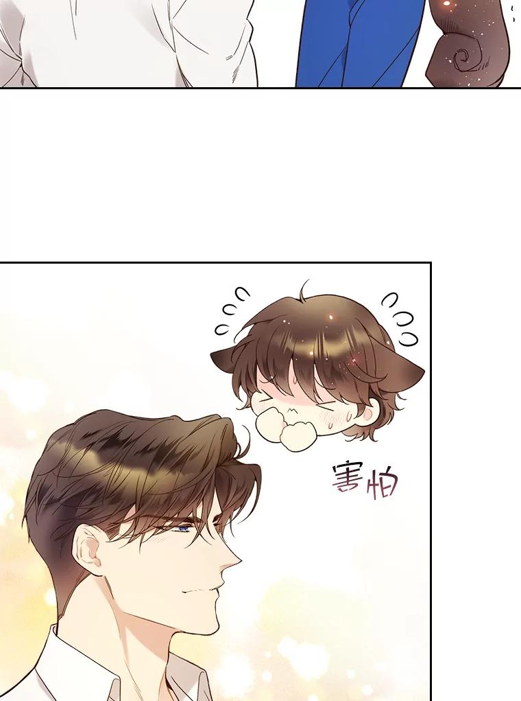 《比阿特丽丝》60.对不起 第33页
