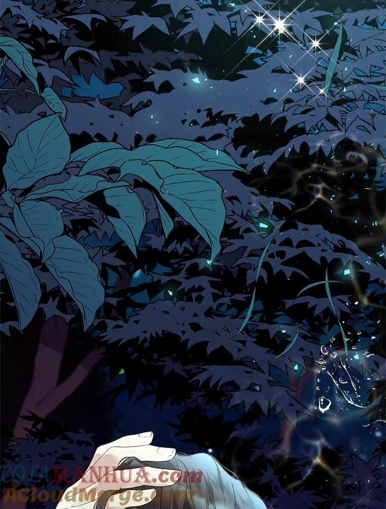 《比阿特丽丝》61.喜欢（1） 第73页