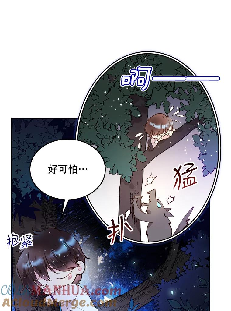 《比阿特丽丝》66.神秘老人（1） 第51页
