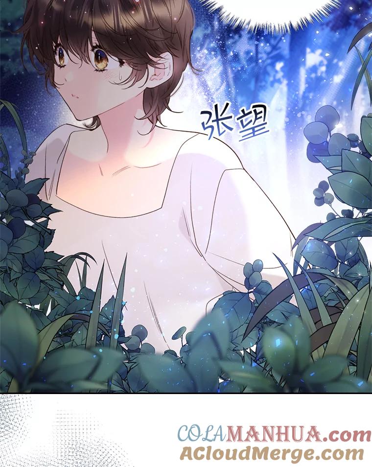 《比阿特丽丝》66.神秘老人（1） 第21页