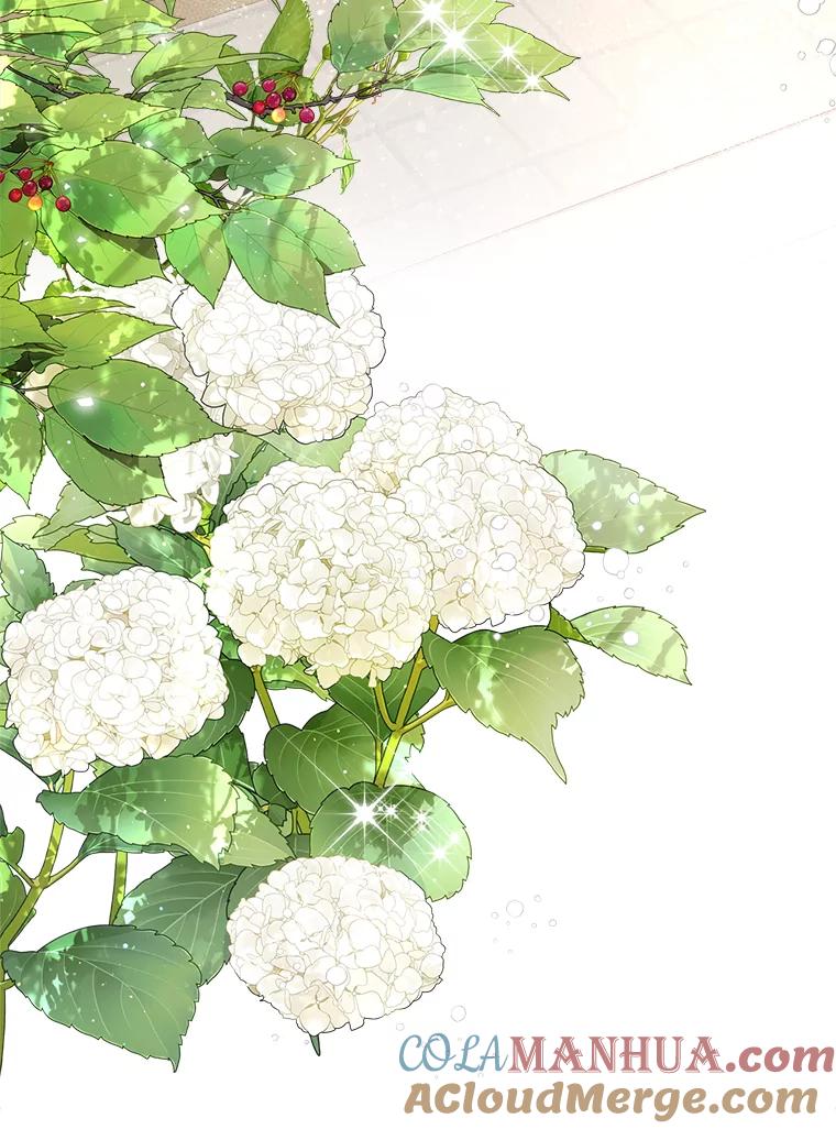 《比阿特丽丝》80.是那个少年吗？ 第49页