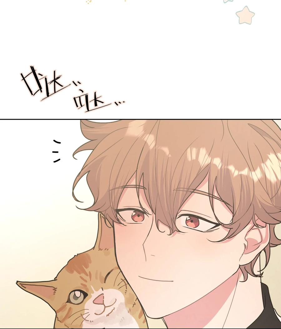 别对我表白 008 两只流浪猫 第39页
