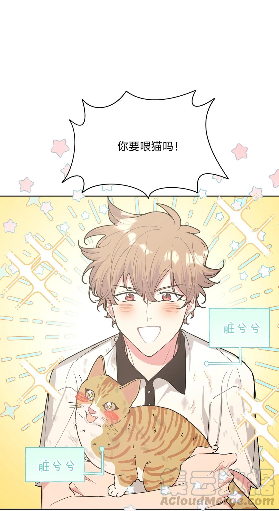 别对我表白 008 两只流浪猫 第43页