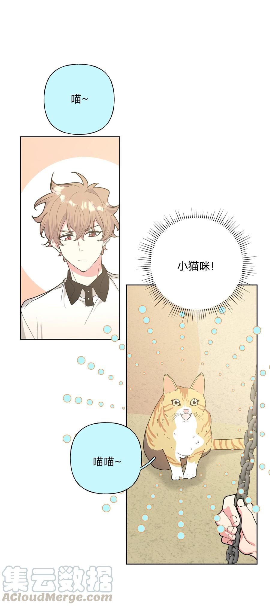 别对我表白 008 两只流浪猫 第37页