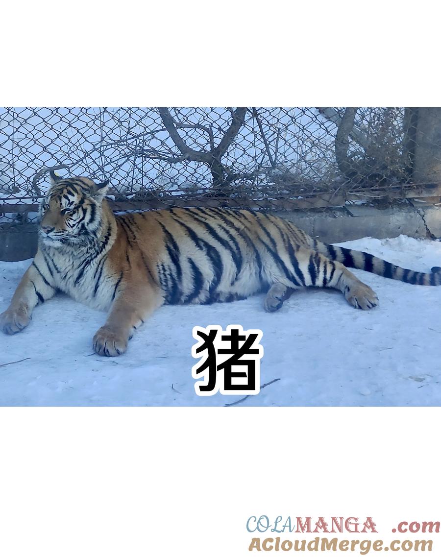 别对我表白 调更 一女子 竟为了去看猫…… 第9页