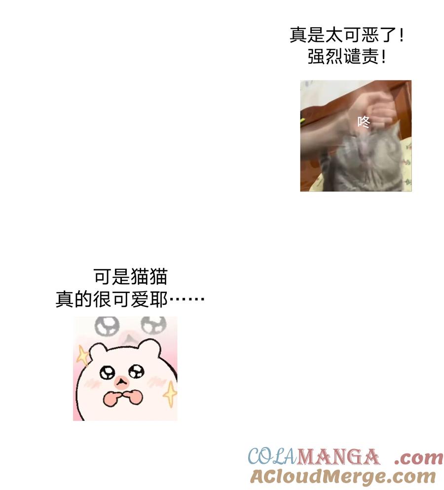 别对我表白 调更 一女子 竟为了去看猫…… 第2页