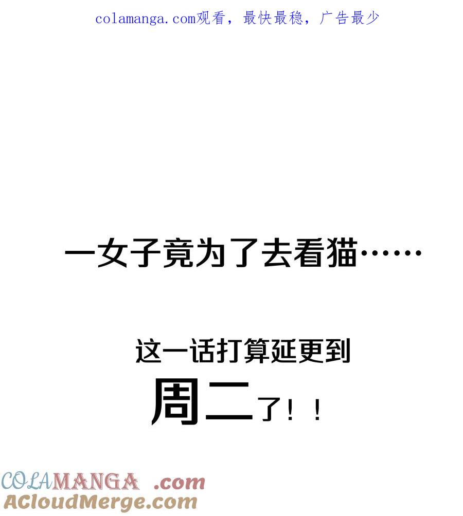 别对我表白 调更 一女子 竟为了去看猫…… 第1页