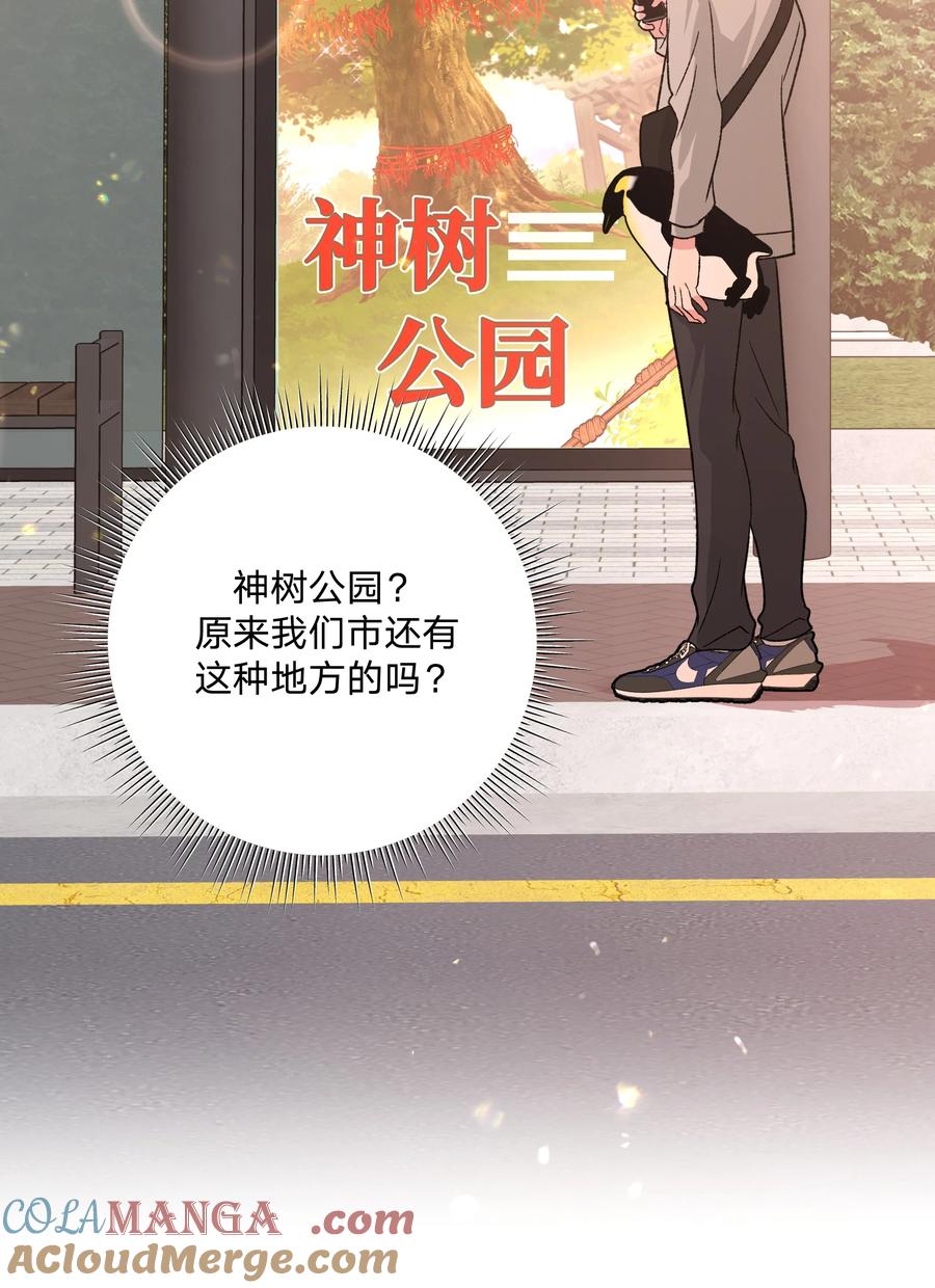 别对我表白 123 还挺乖 第43页