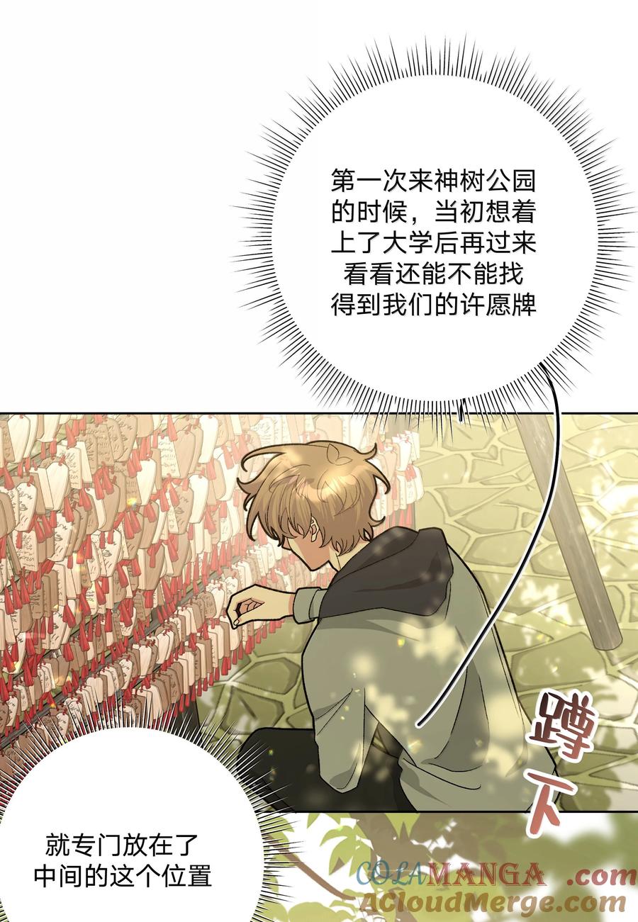 别对我表白 128 笨蛋 第31页