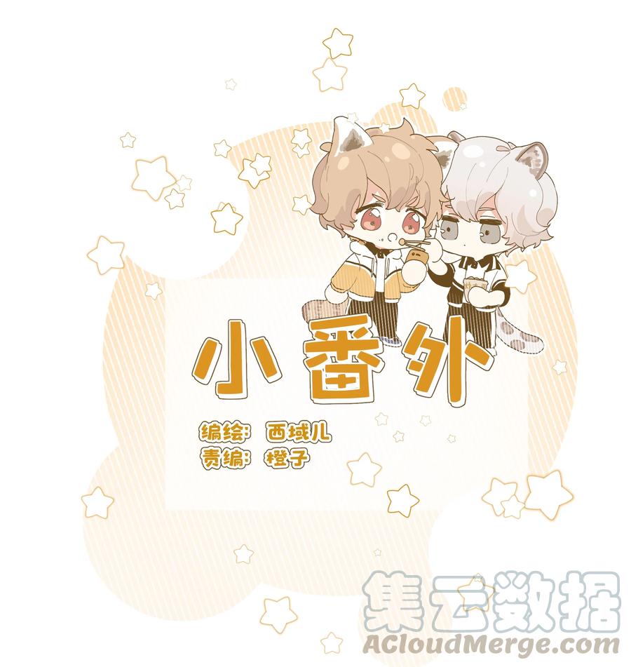 别对我表白 小番外： 要试试吗 第1页