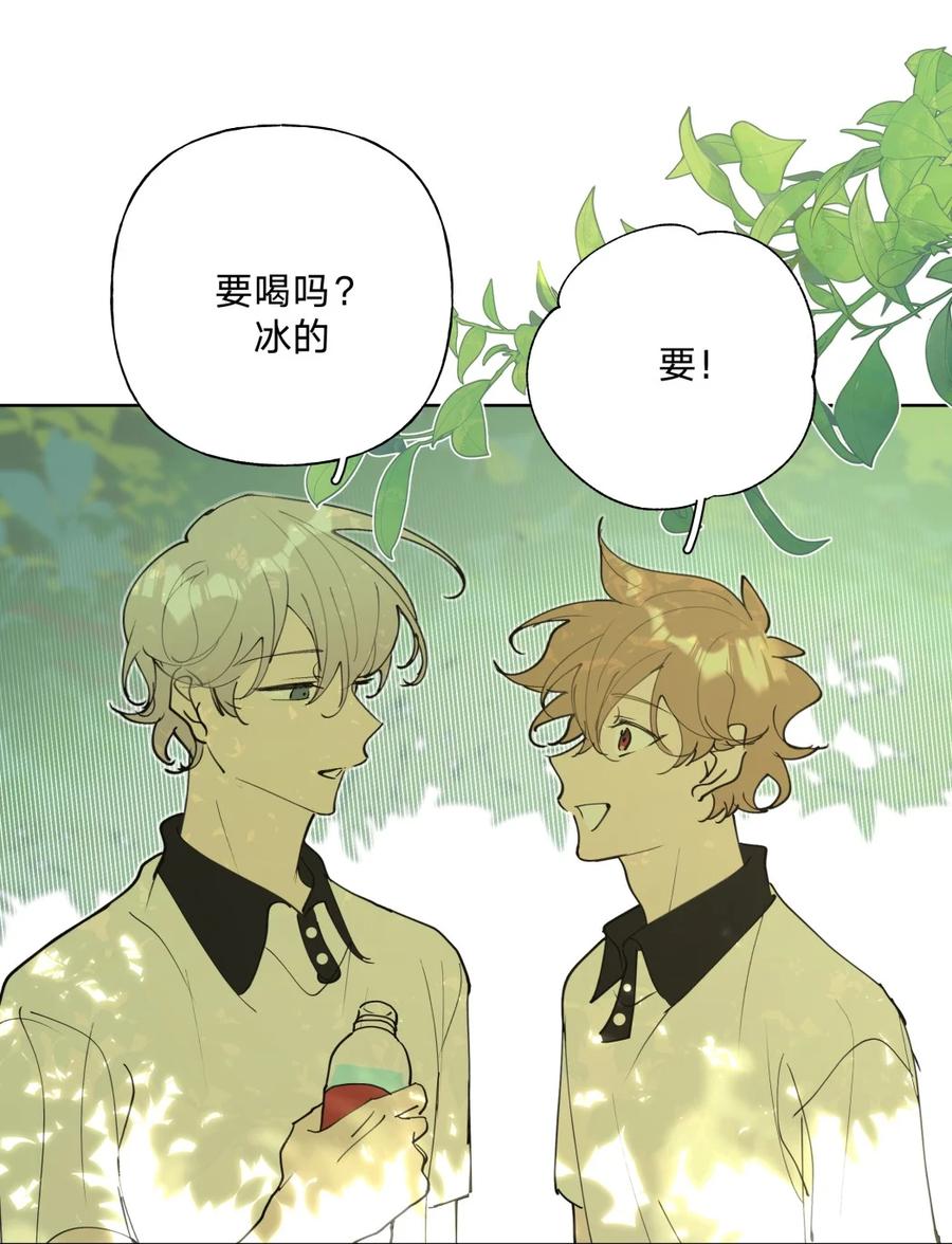 别对我表白 小番外 蜘蛛 第4页
