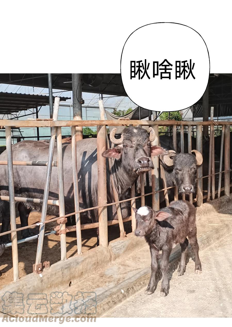 别对我表白 小番外 圣诞节 第21页