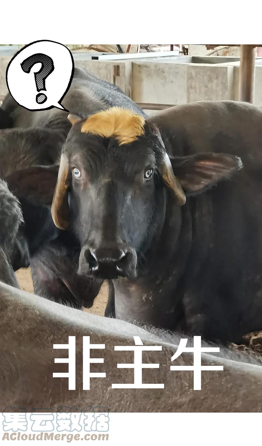 别对我表白 小番外 圣诞节 第25页