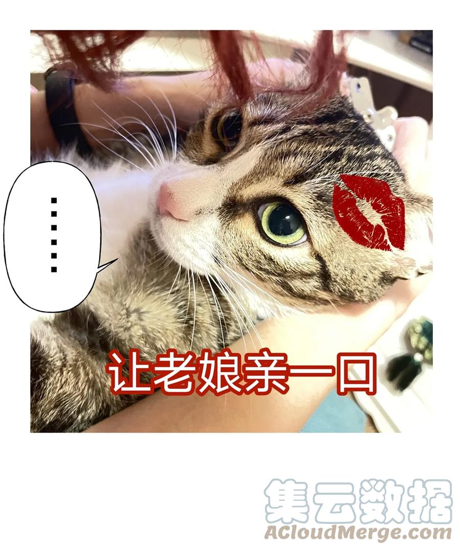 别对我表白 猫猫 请假条 第11页