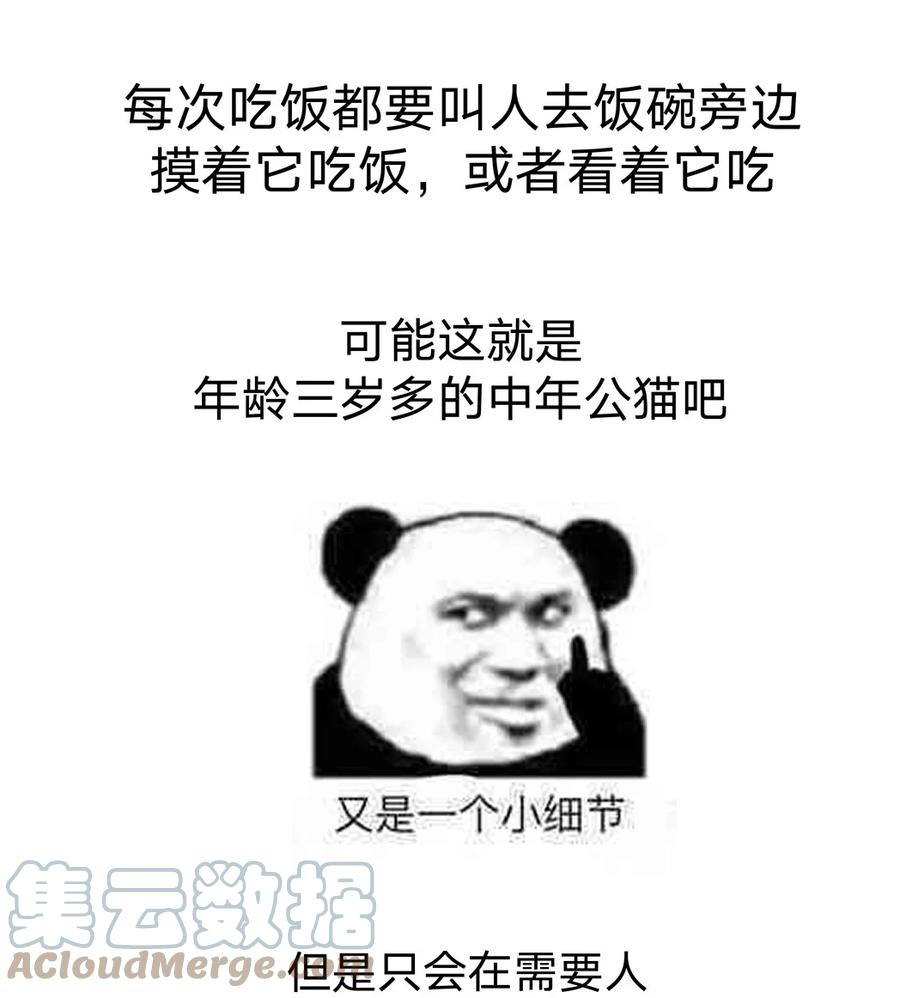 别对我表白 猫猫 请假条 第8页
