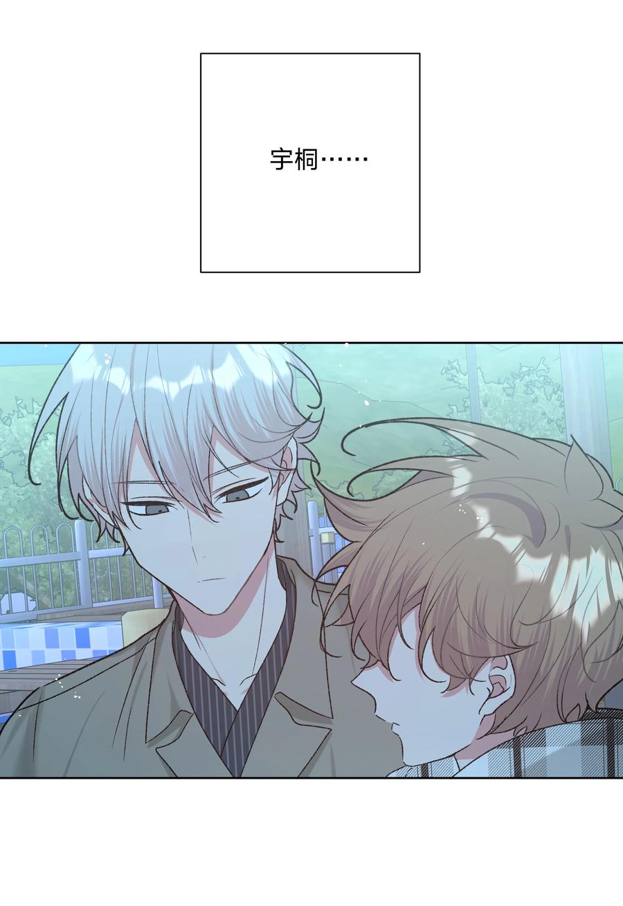 别对我表白 065 喜欢宇桐？ 第41页