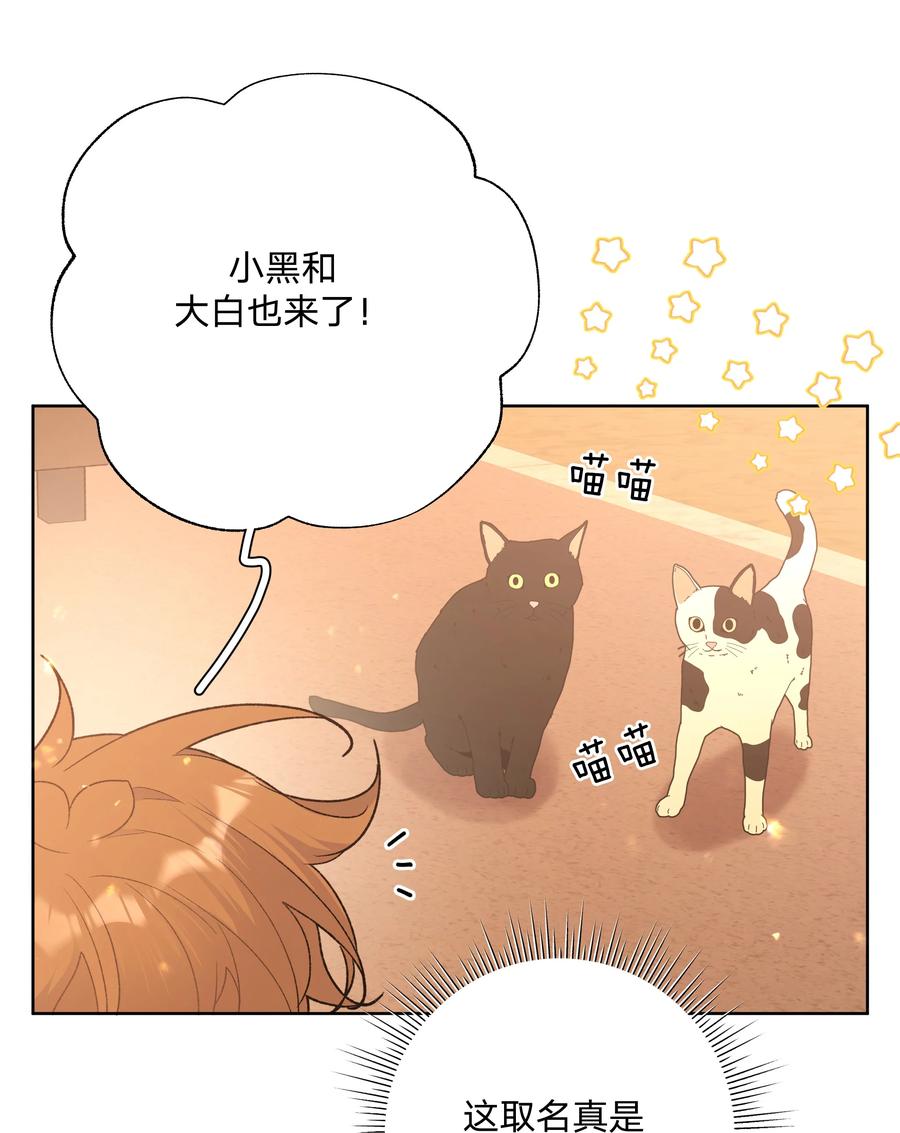 别对我表白 084 气氛 第36页