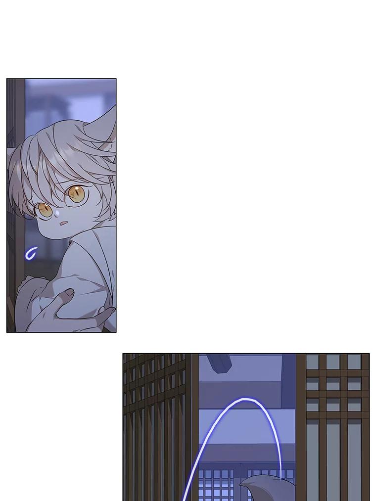 《魅惑狐狸》11.不言放弃小白狐 第9页