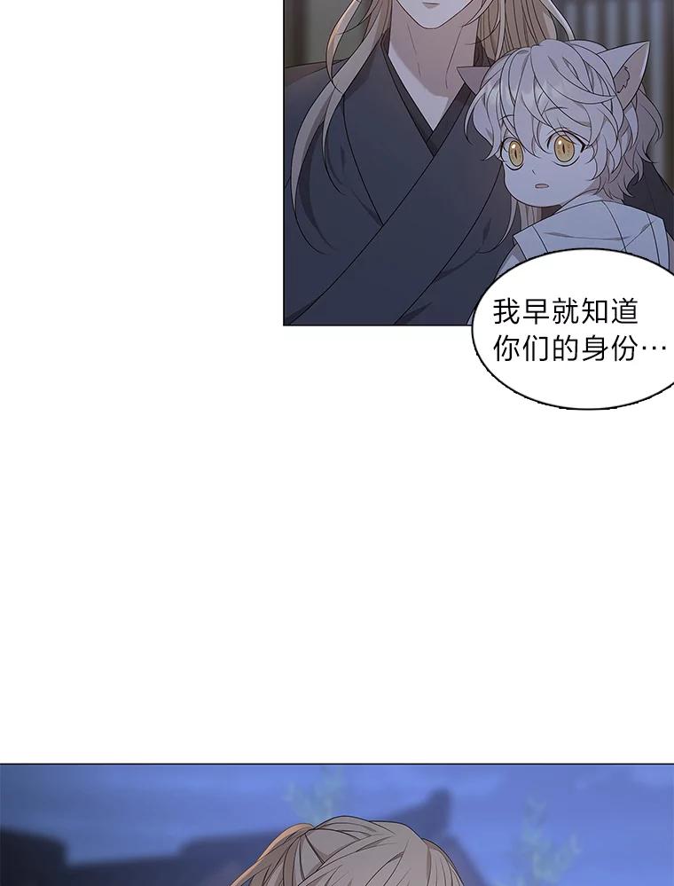 《魅惑狐狸》11.不言放弃小白狐 第6页