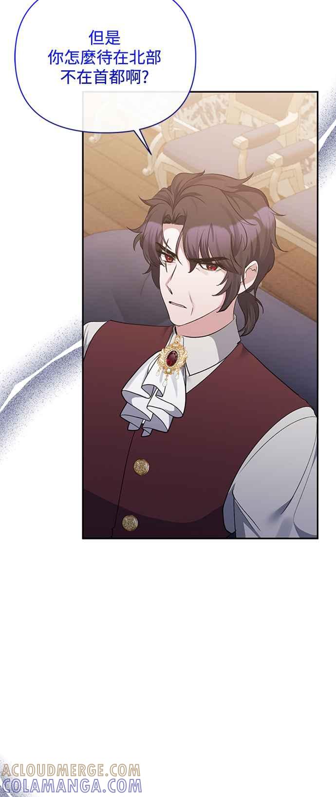 《北部大公竟然是幕后黑手》第41话 第28页