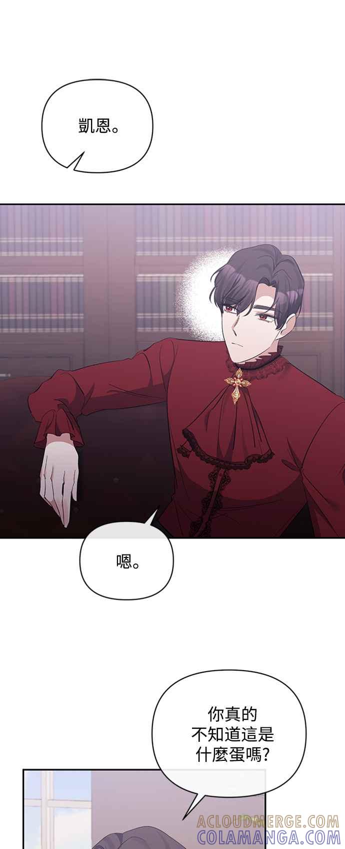 《北部大公竟然是幕后黑手》第41话 第46页