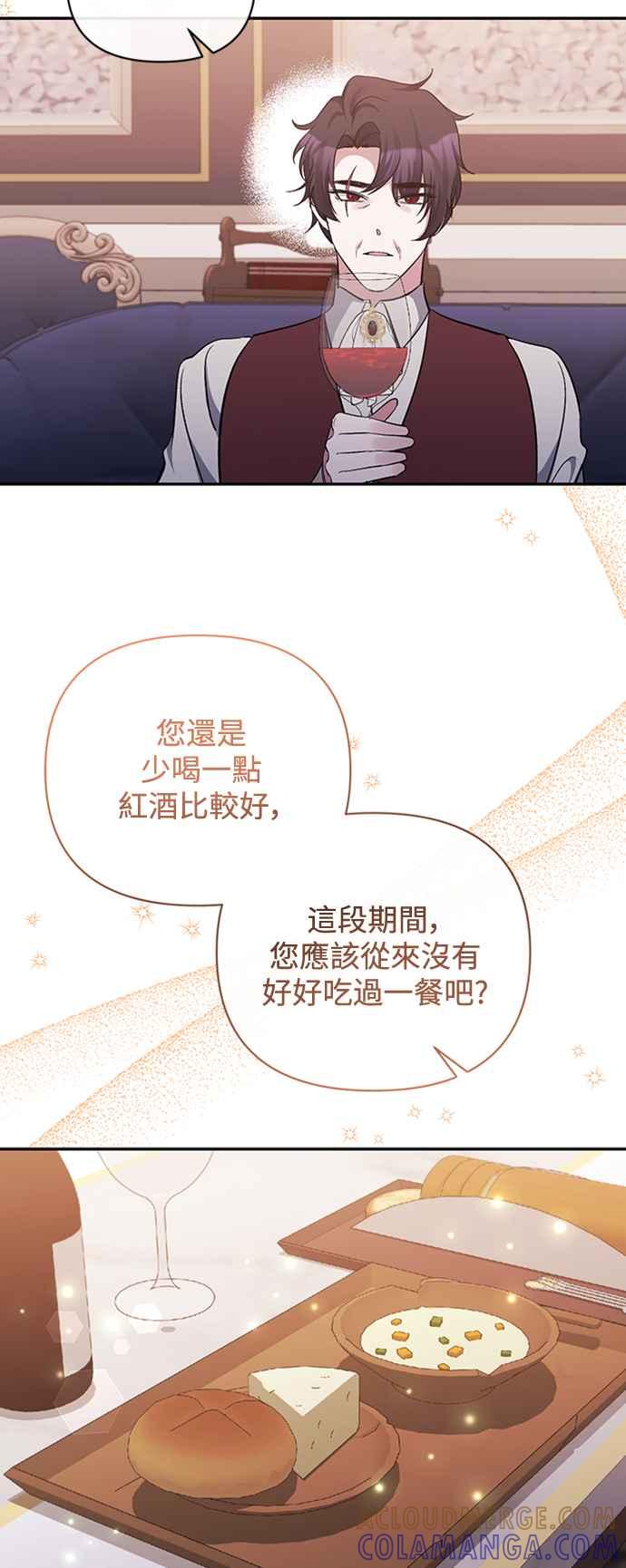 《北部大公竟然是幕后黑手》第41话 第37页