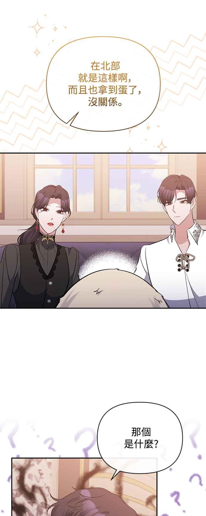 《北部大公竟然是幕后黑手》第41话 第39页