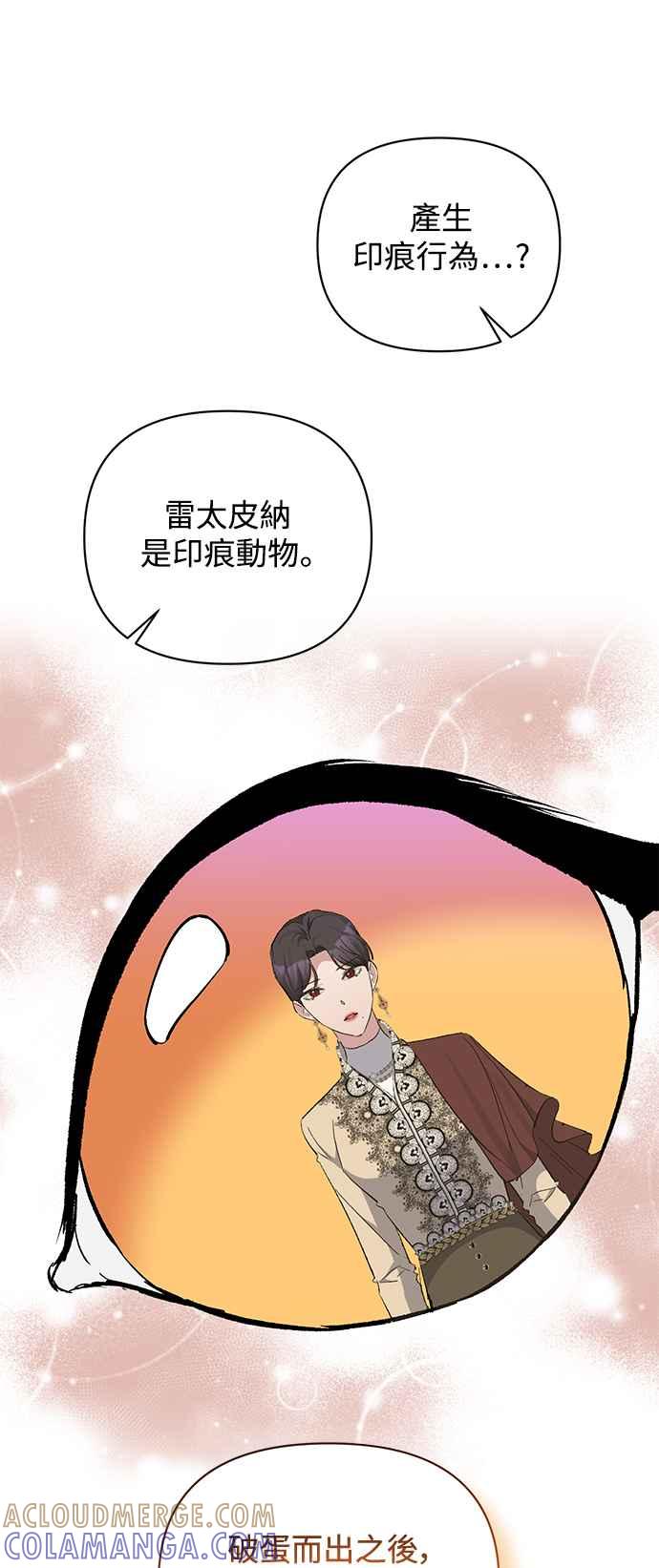 《北部大公竟然是幕后黑手》第45话 第13页