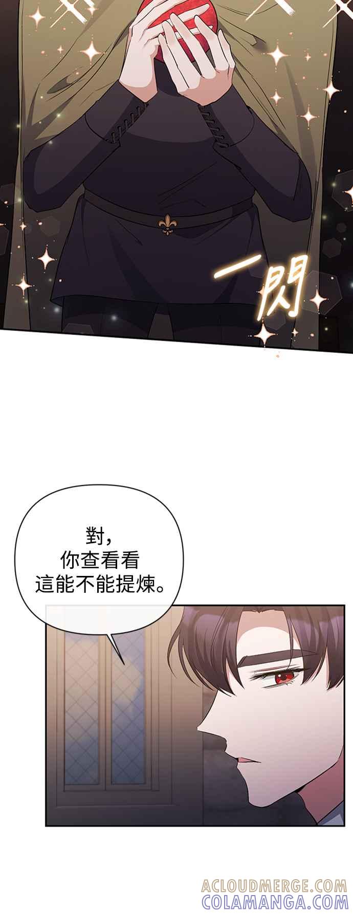 《北部大公竟然是幕后黑手》第51话 第19页