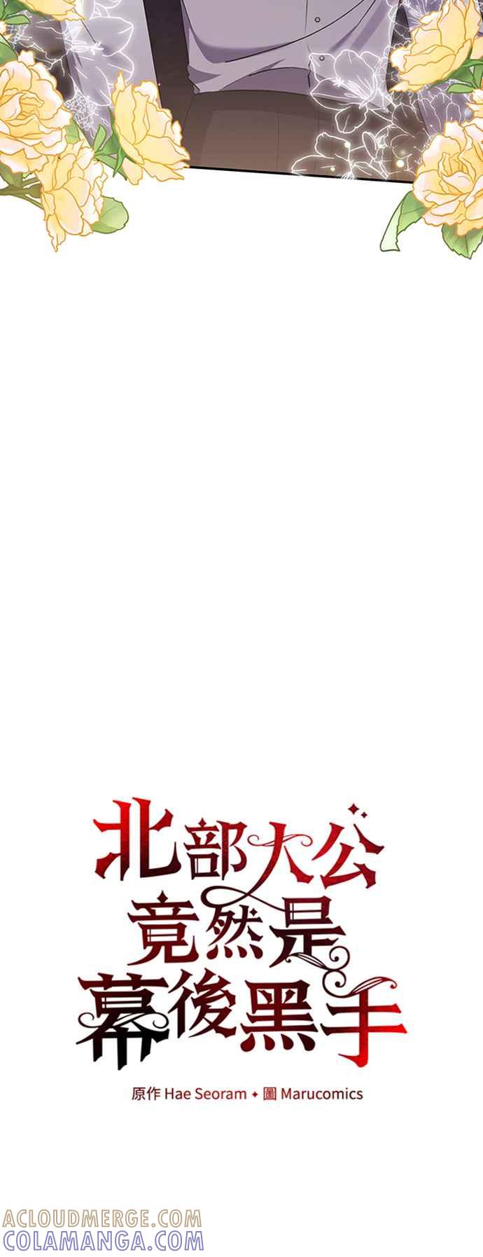 《北部大公竟然是幕后黑手》第51话 第28页