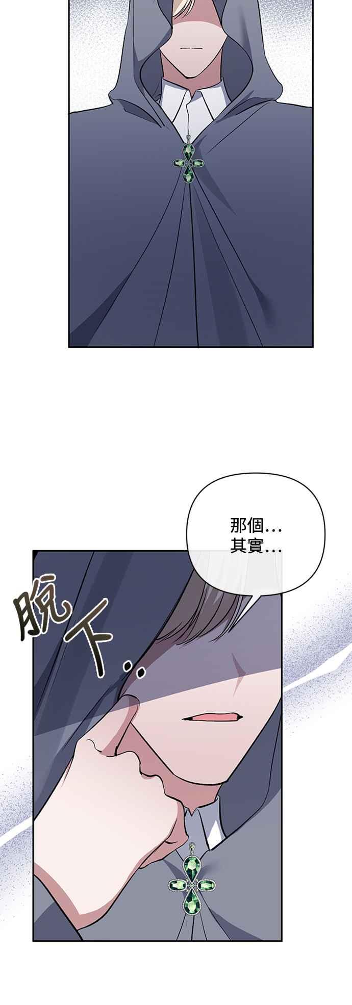 《北部大公竟然是幕后黑手》第54话 第29页