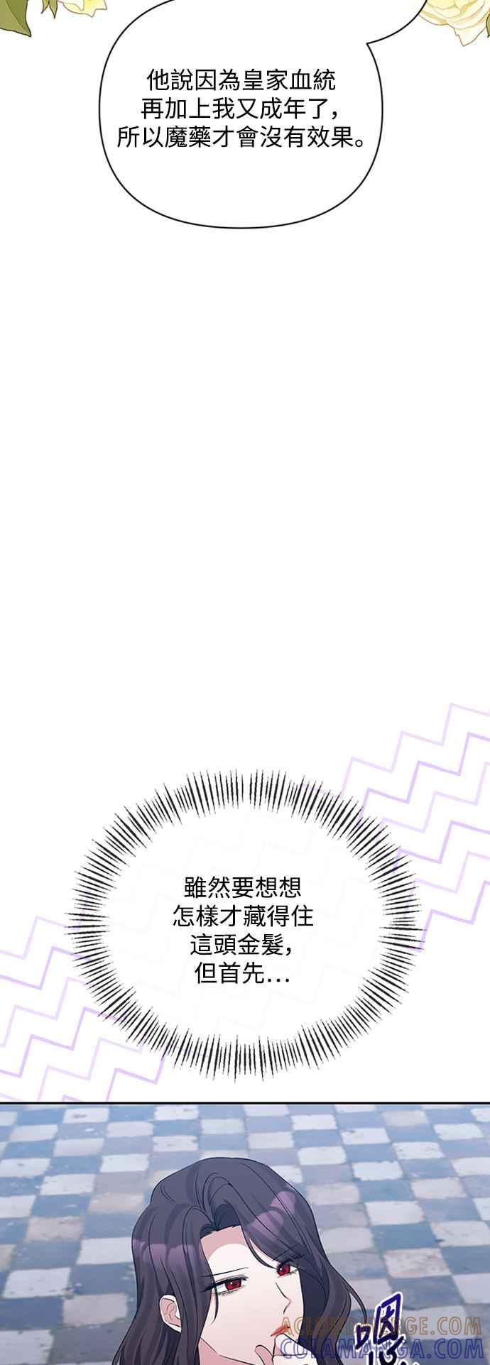 《北部大公竟然是幕后黑手》第54话 第34页