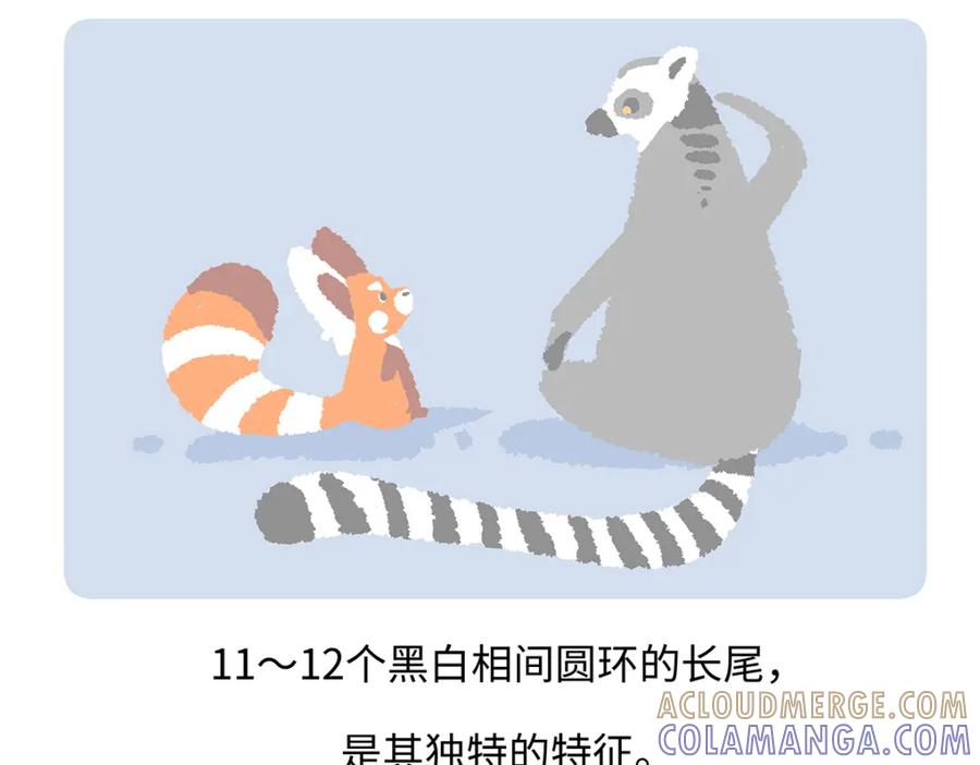 《胖达x胖达》第265话 第23页