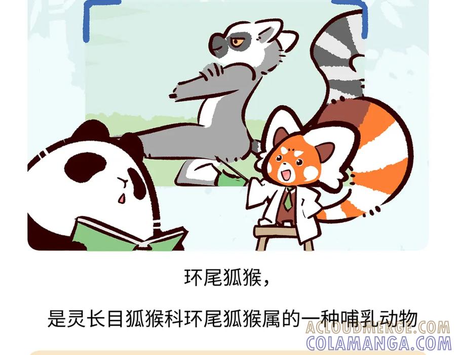 《胖达x胖达》第265话 第21页