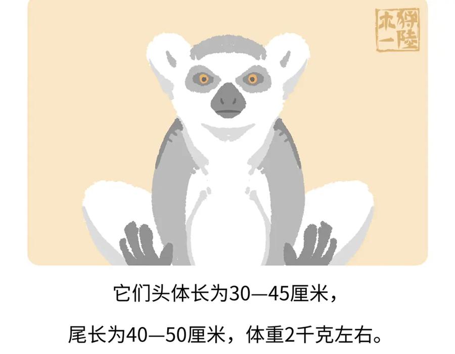 《胖达x胖达》第265话 第22页