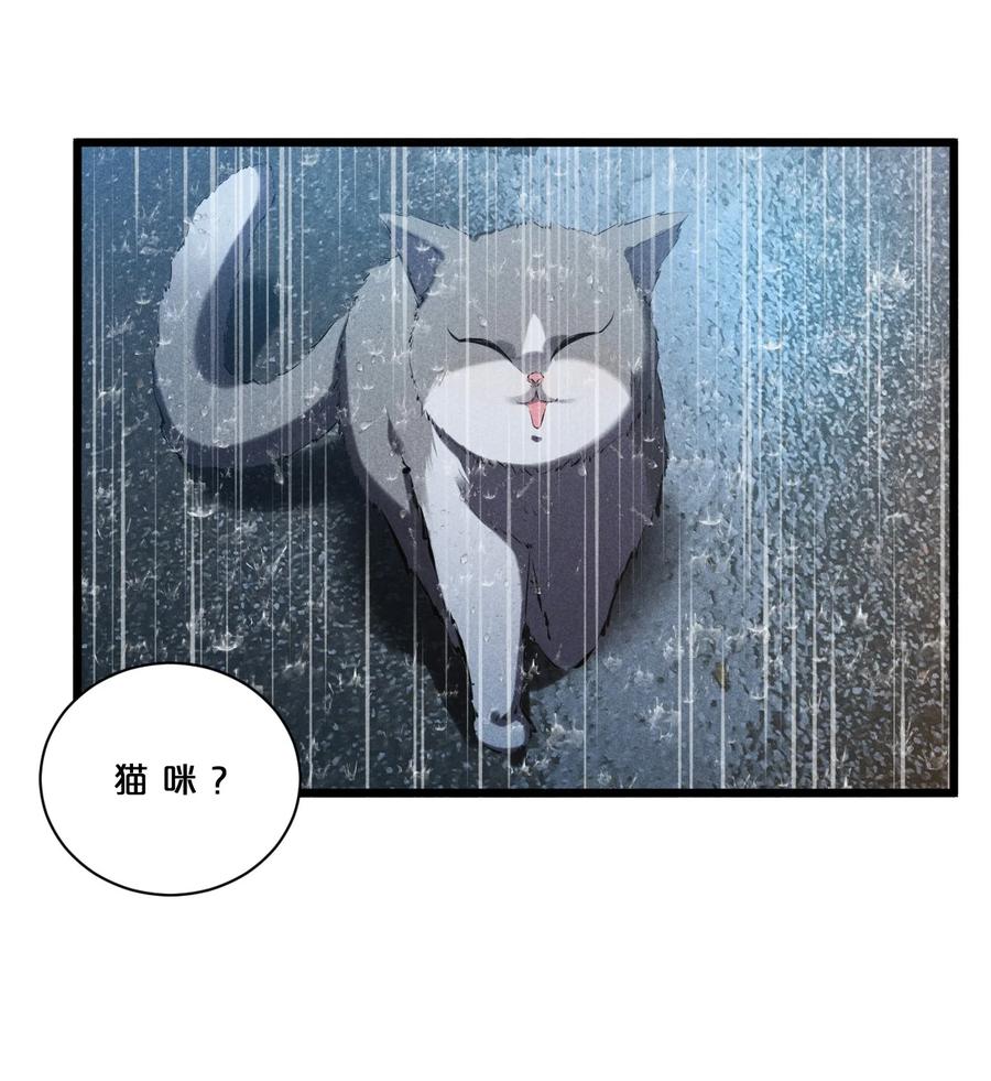 《别再召唤我啦！》019 猫与女孩 第3页