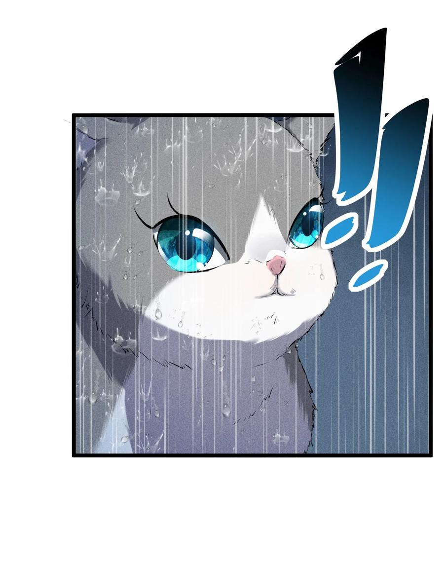 《别再召唤我啦！》019 猫与女孩 第6页